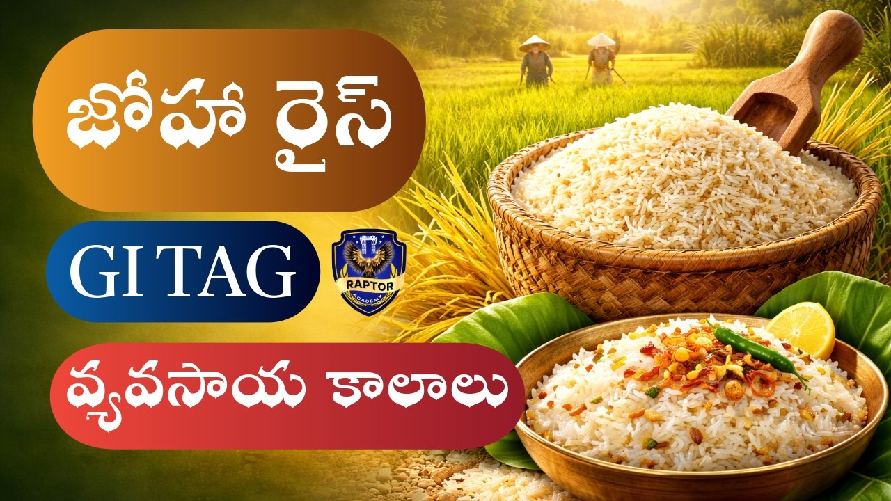 అస్సాం జోహా రైస్ GI Tag | GI Tag అంటే ఏమిటి? | పోటీ పరీక్షలకు ముఖ్యమైన Current Affairs | RAPTOR 🦅