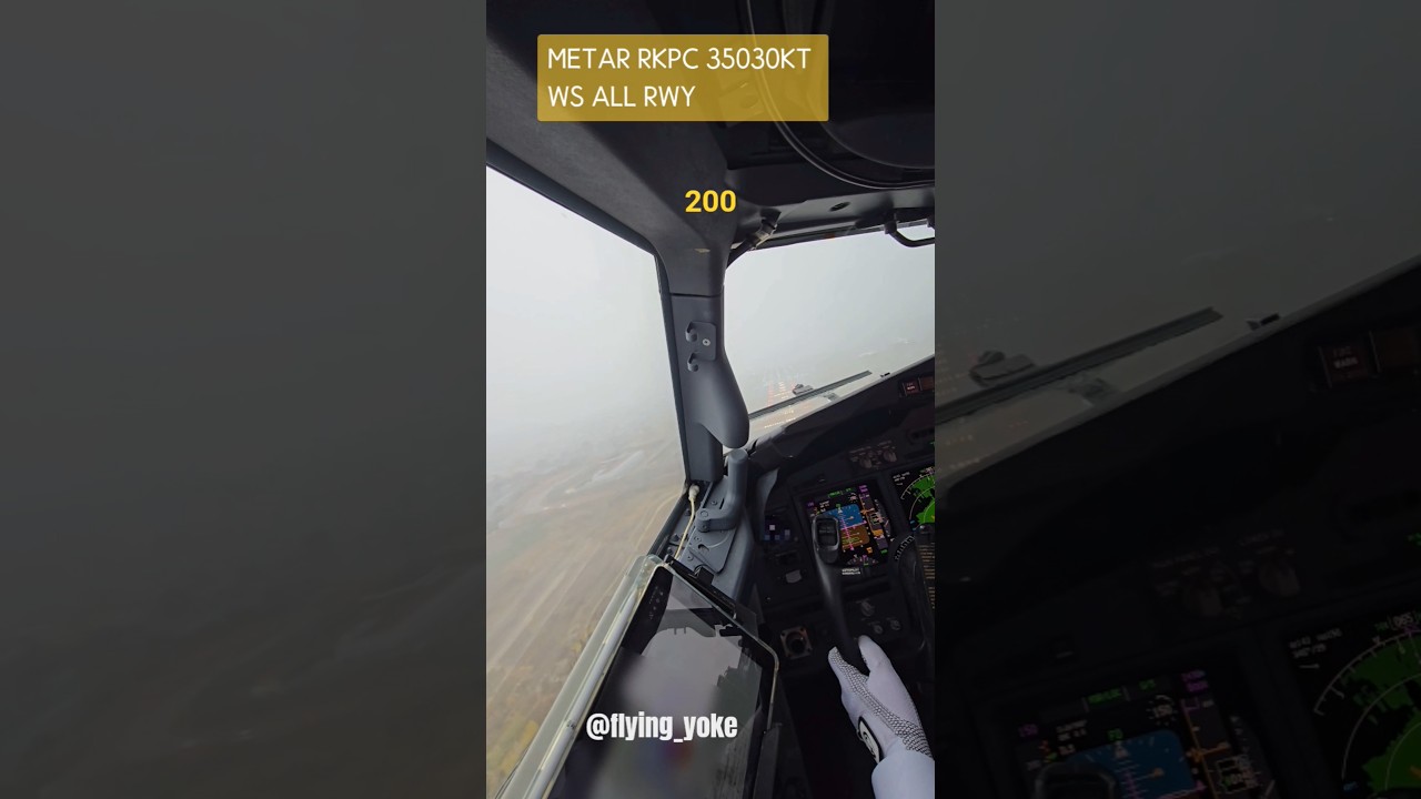 B737NG First Officer Handling Strong, Gusty Crosswinds 