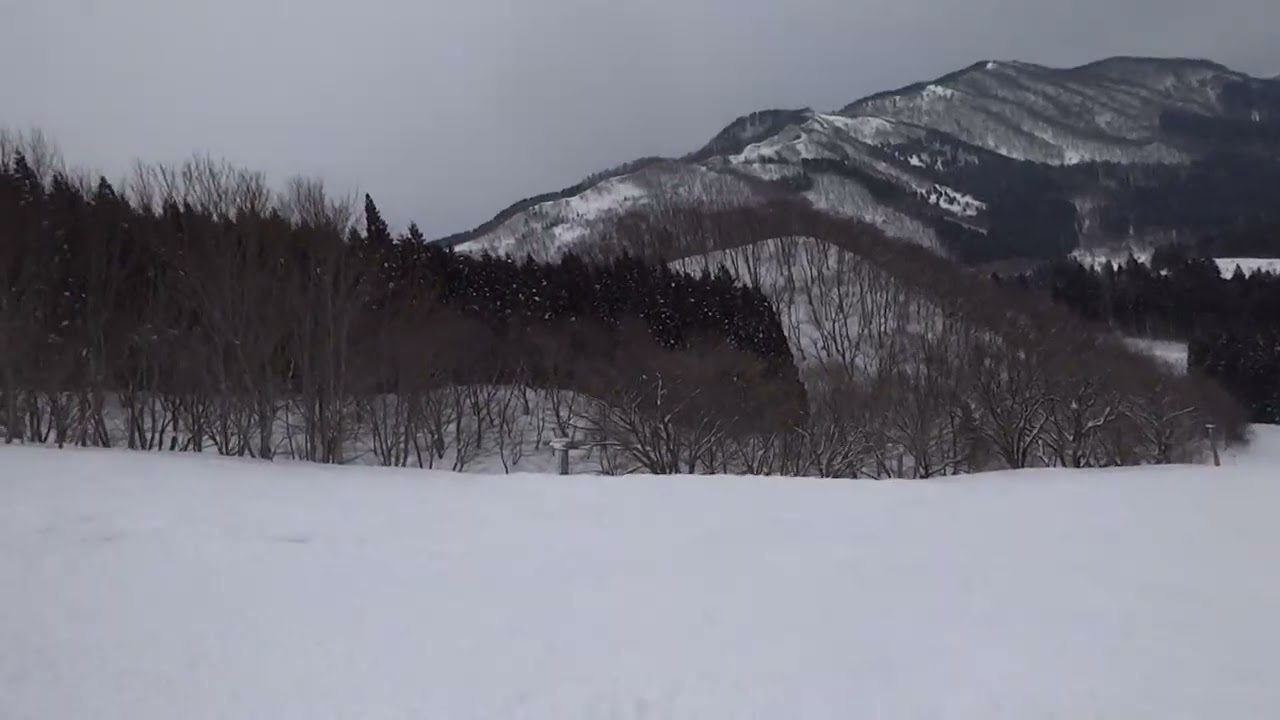 2026年02月10日(火) 15:56 ハチ北 アルペンコース～アルペン林間コース