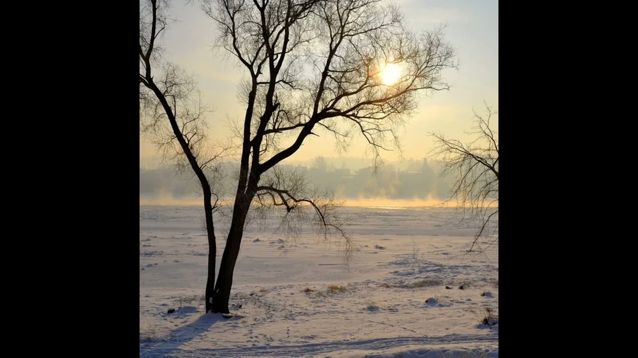 Cold Serenity
