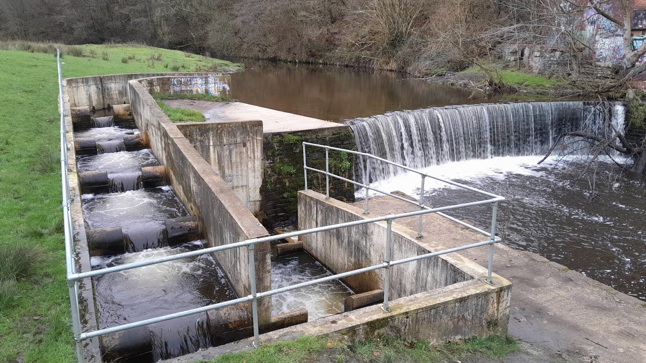 Dunkenhalgh Fish Pass River Hyndburn