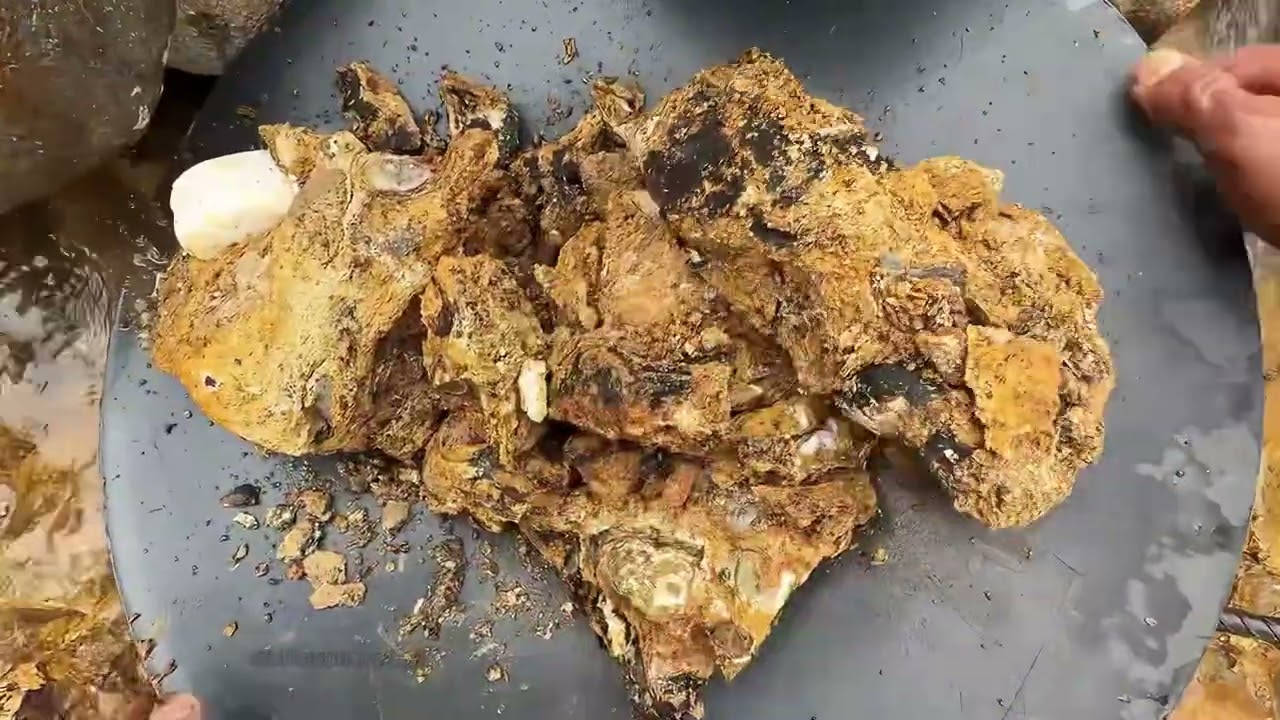 LAVADO DE ORO🤩🌟⛏️