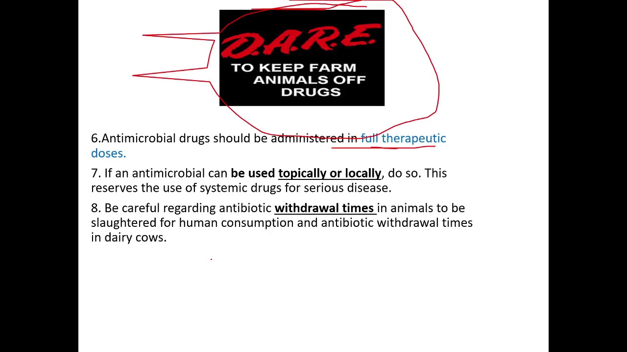 Applied Pharmacology Chapter 12, Part 1 Antibiotics