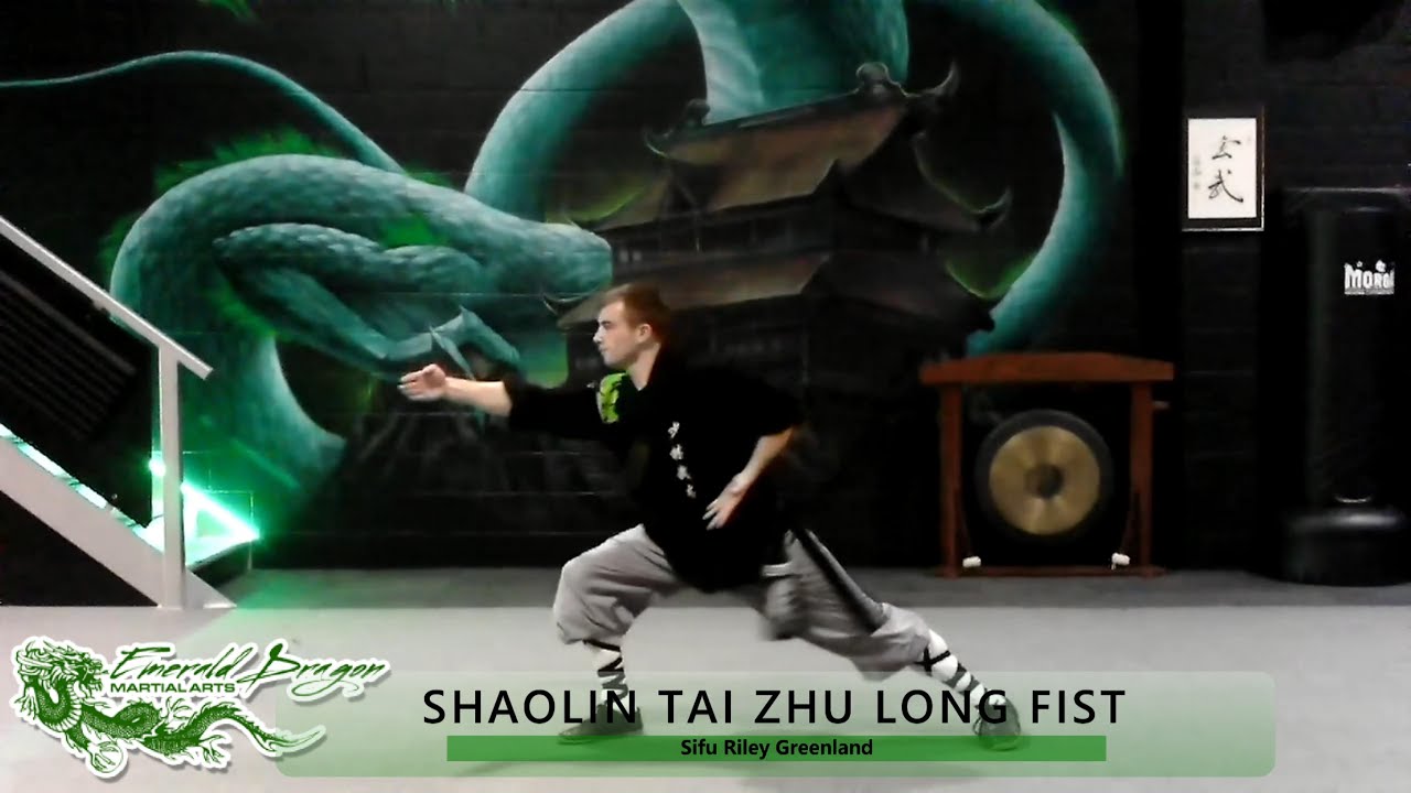 Supreme Emperor's Long Fist - Shaolin Tai Zhu Chang Quan 少林太祖长拳 | Yong Li of Emerald Dragon