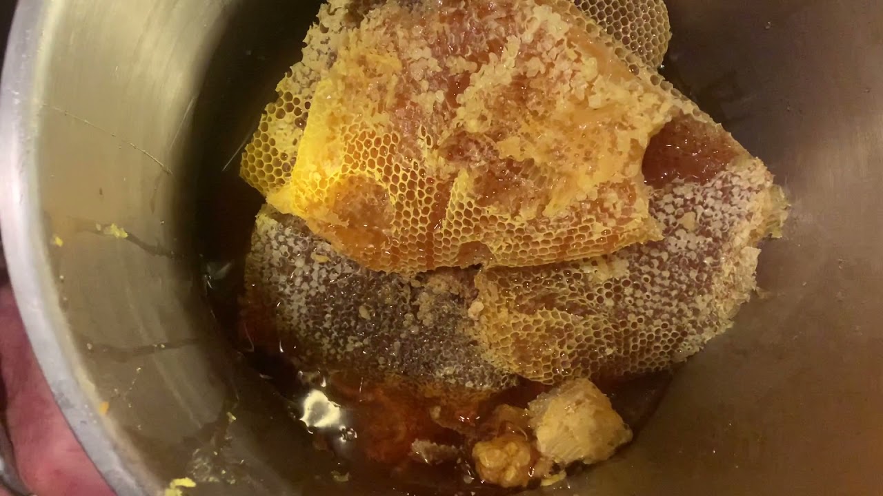 Обработка медовых сот с Адрианом Йодисом из Beekeeping Naturally.