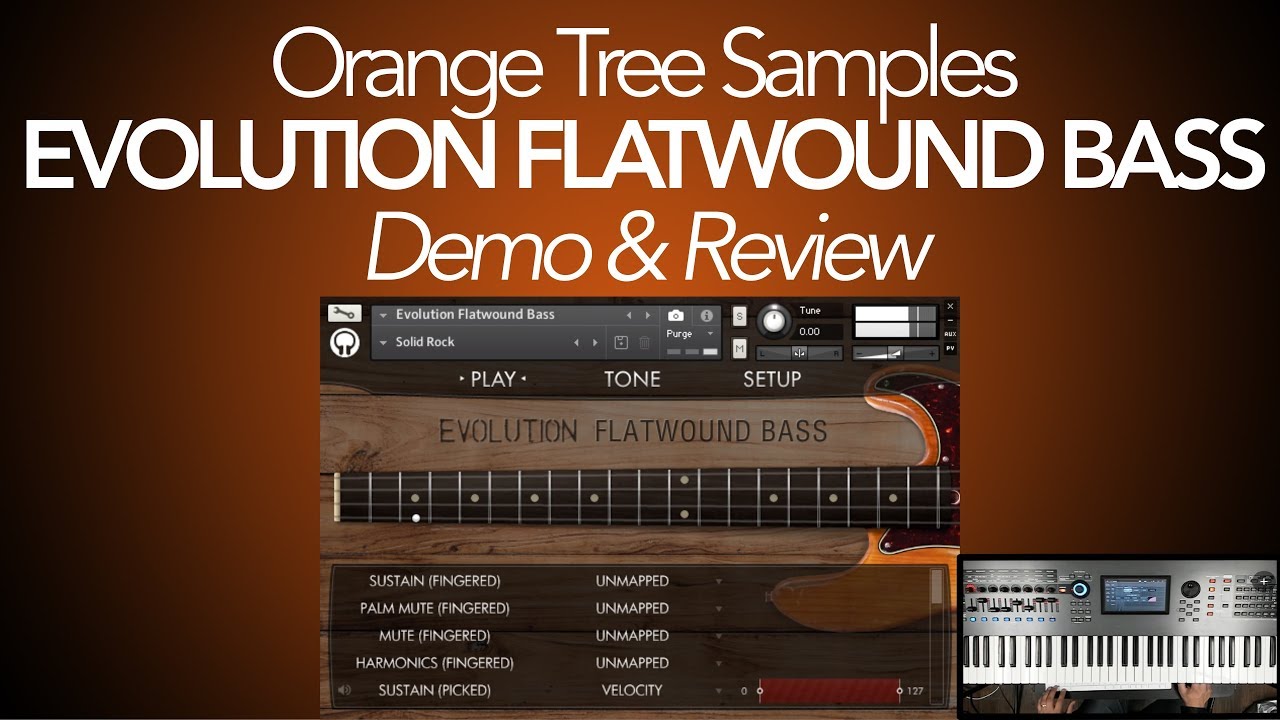 Evolution Flatwound Bass Review