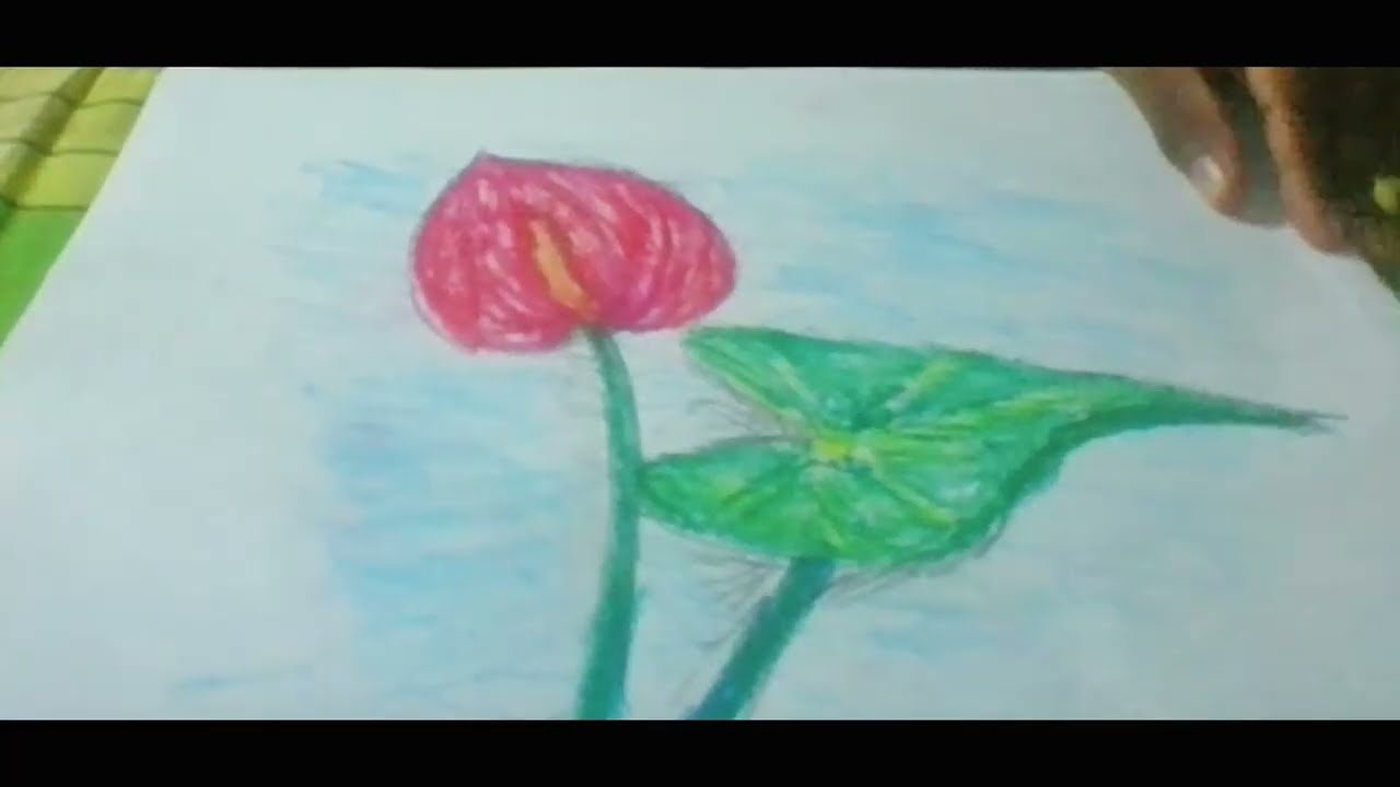 anthurium
