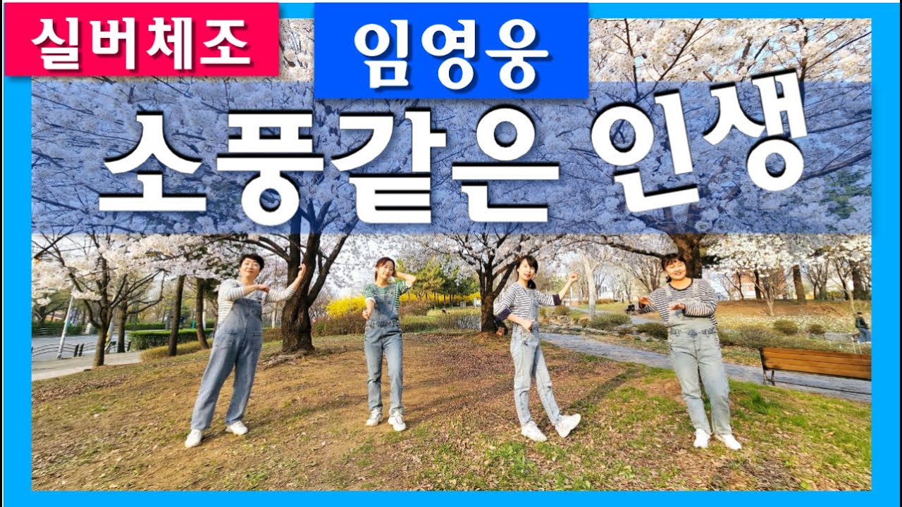 [실버체조]소풍가는 인생_노래 임영웅 (원곡 추가열) #주야간보호센터요양원 #아리울교육 #뽕숭아학당