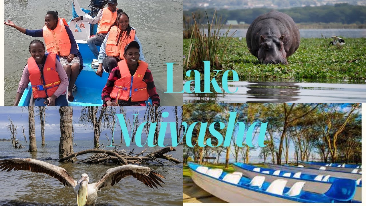Twende VASHA!#fun #adventure