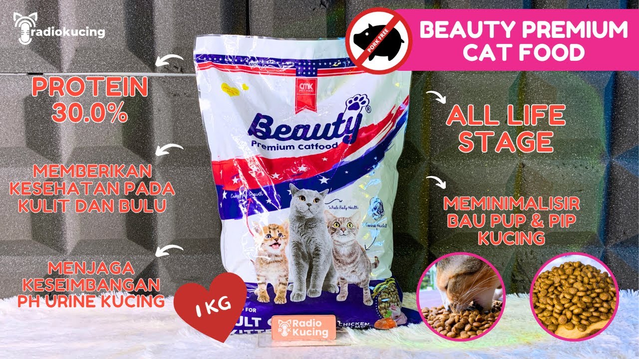 Review Beauty Premium Cat Food! Cocok untuk merawat bulu dan pencernaan kucing😻❤️ | Radiokucing #169
