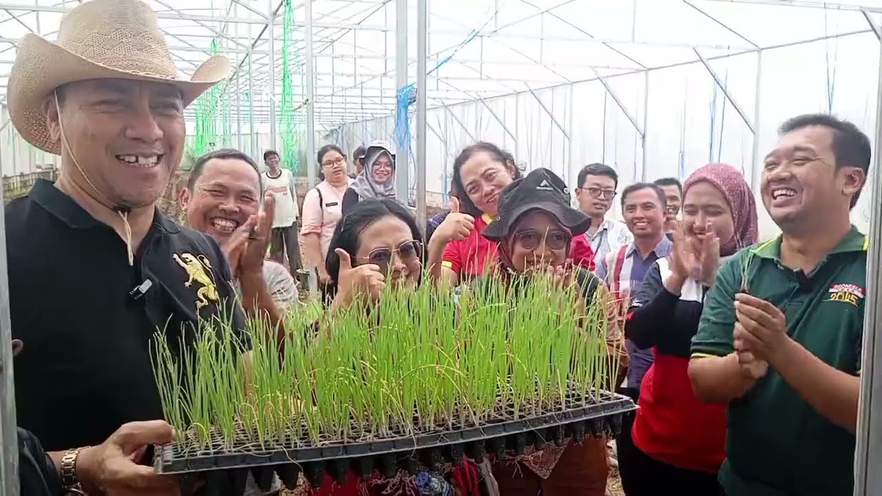 𝘽𝙪𝙙𝙞𝙙𝙖𝙮𝙖 𝘽𝙖𝙬𝙖𝙣𝙜 𝙈𝙚𝙧𝙖𝙝 𝙏𝙎𝙎, 𝙋𝙚𝙣𝙖𝙣𝙖𝙢𝙖𝙣 𝘽𝙚𝙧𝙨𝙖𝙢𝙖 𝙆𝙚𝙥𝙖𝙡𝙖 𝘿𝙞𝙣𝙖𝙨 𝙋𝙚𝙧𝙩𝙖𝙣𝙞𝙖𝙣 𝙅𝙖𝙬𝙖 𝙩𝙚𝙣𝙜𝙖𝙝