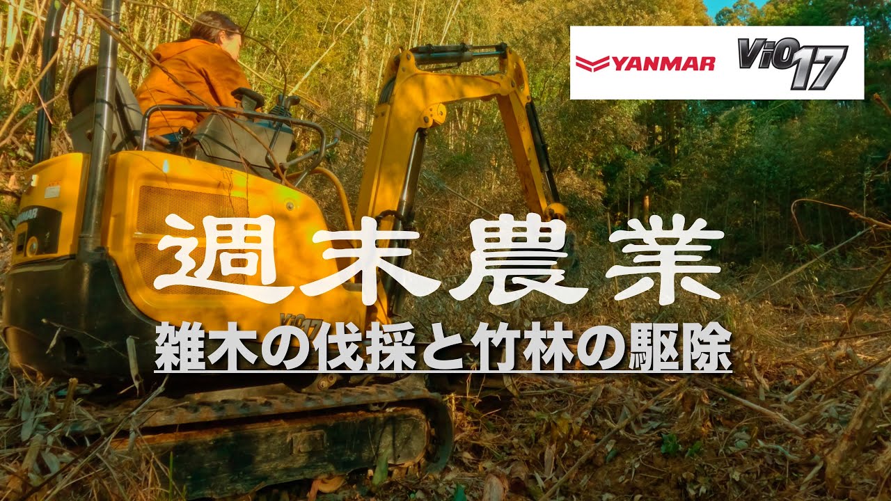 【週末農業】 夫婦田舎暮らし (雑木の伐採と重機による竹林の駆除) ヤンマー vio17 backhoe excavator Yanmar