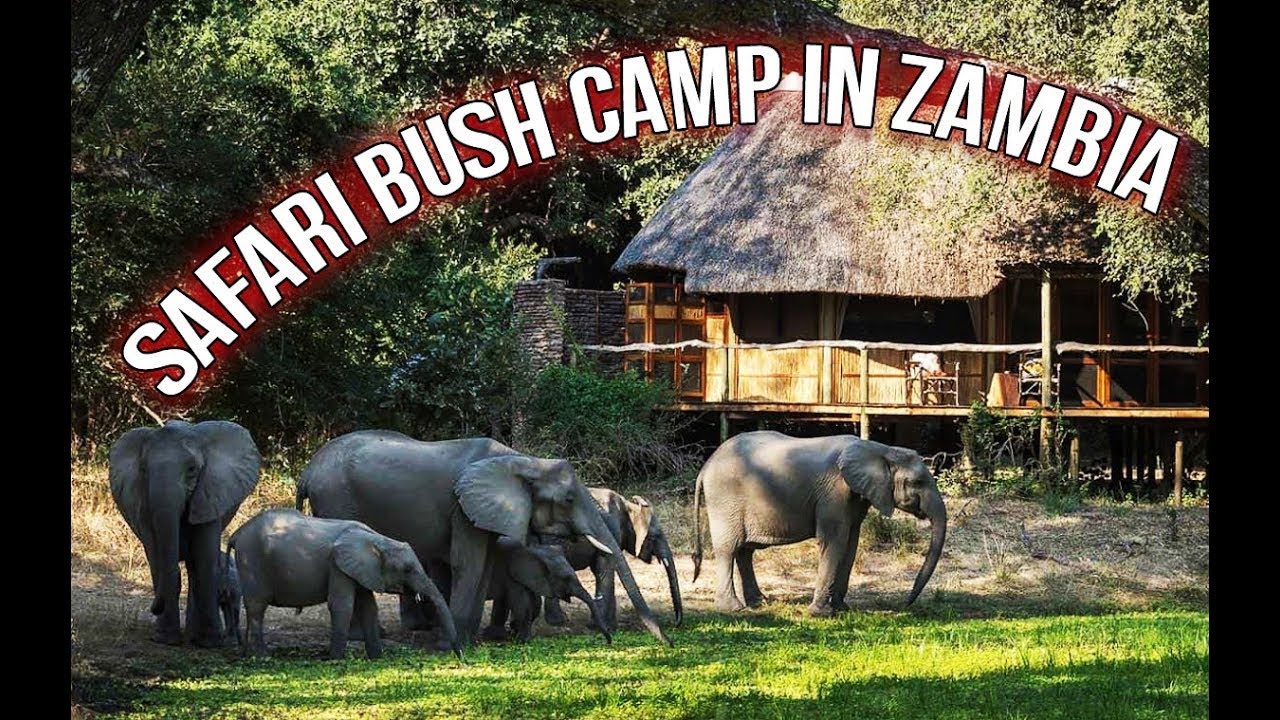 BILIMUNGWE BUSH CAMP | Full Walk Through & Review (The Bushcamp Company, Mfuwe, Zambia)