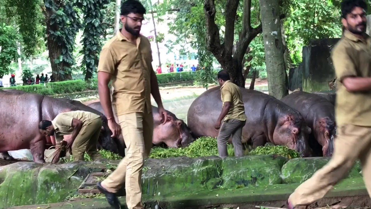 Moroccan In India -  مغربية في الهند 🇲🇦🇮🇳 ( In Trivandrum Zoo)