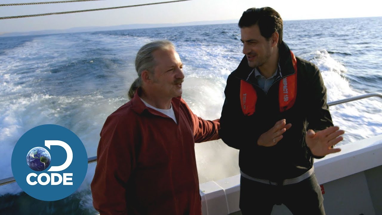 How to Beat a World-Class Fisherman (1/2)