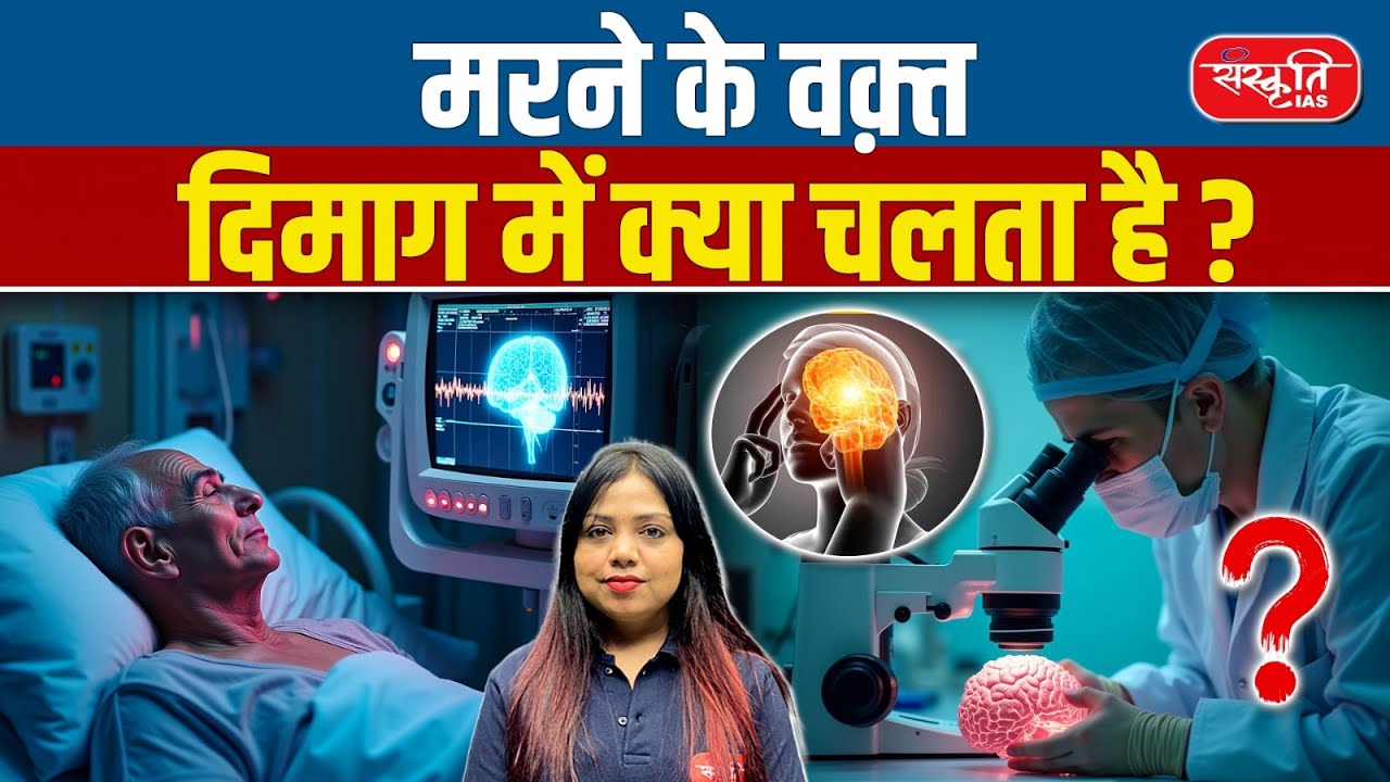 What Happens in the Brain at Death? | Dr. Jimo Borjigin's Research & Surprising Findings
