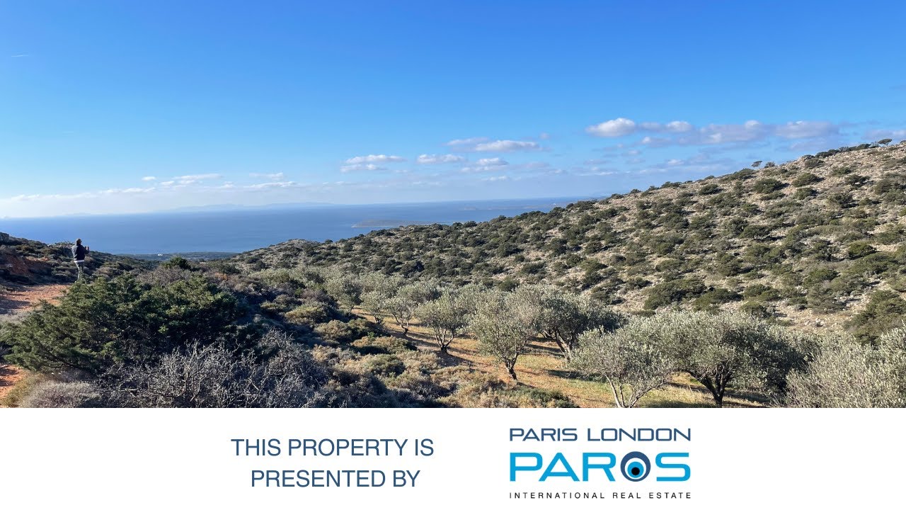 FOR SALE – €190,000 OLIVE GROVE PLOT WITH BUILDING PERMIT – AGKAIRIA, PAROS (4,408 SQM)