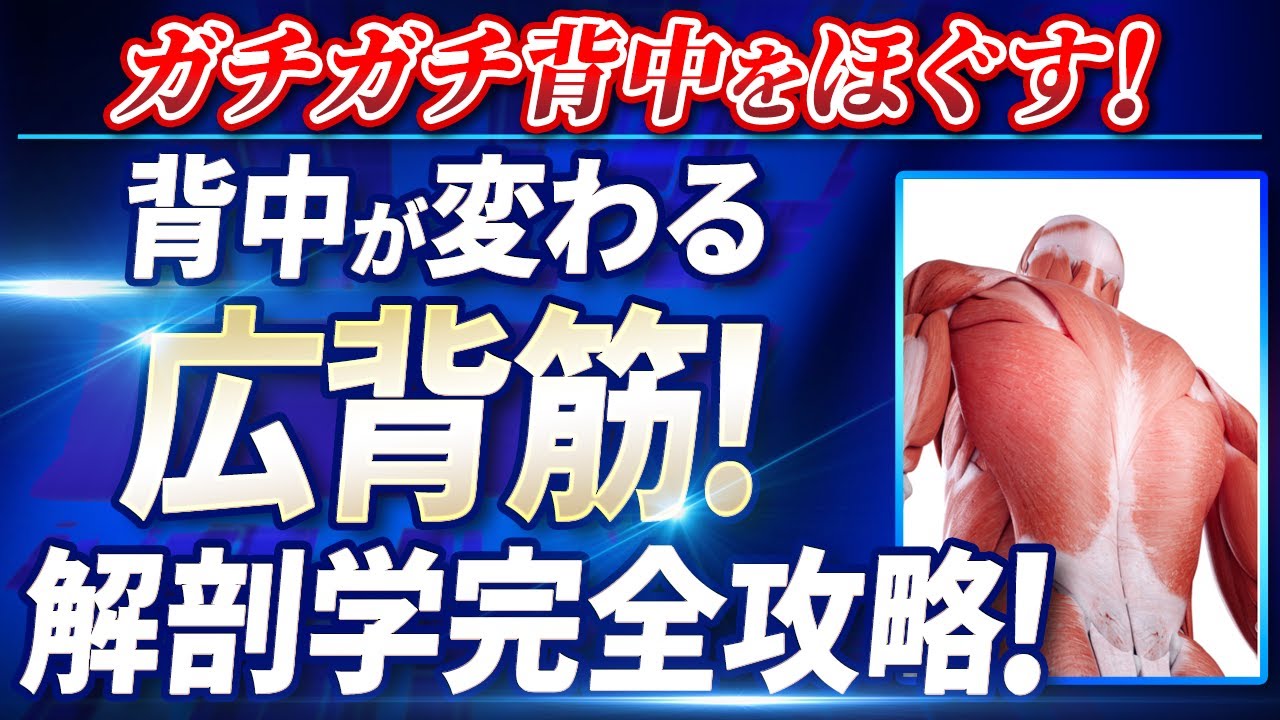 ガチガチ背中を変える！広背筋の解剖学完全攻略！