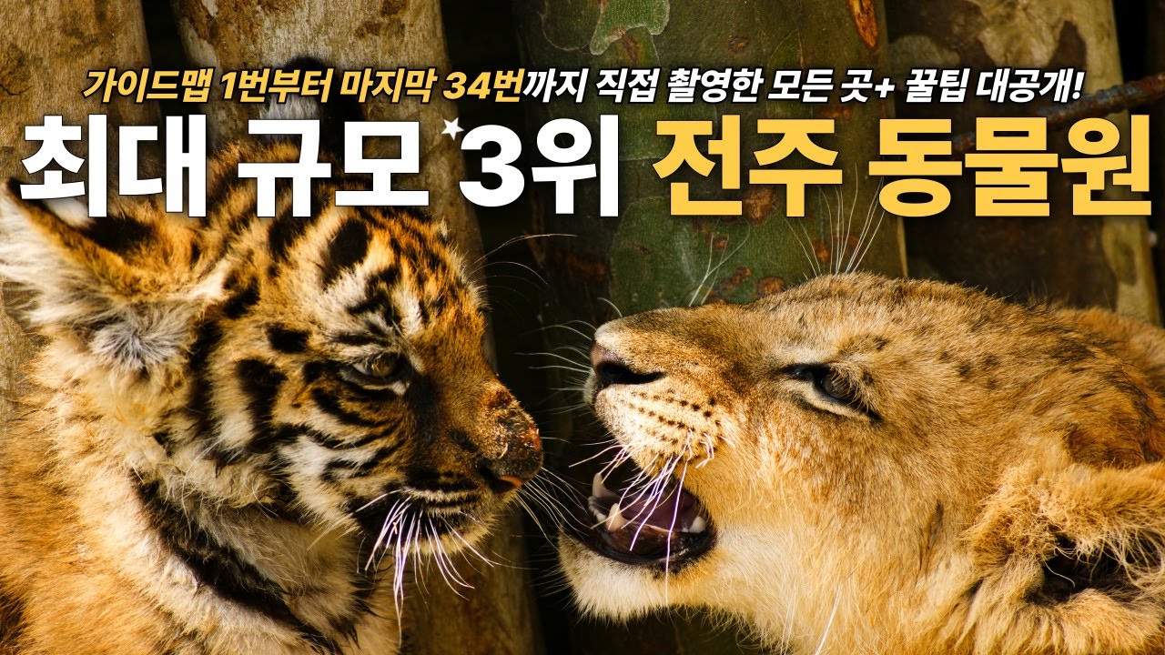 국내 최대규모 3위! 전주동물원 - 직접 다 찍은 내부 모든장소부터 주차,요금,꿀팁까지