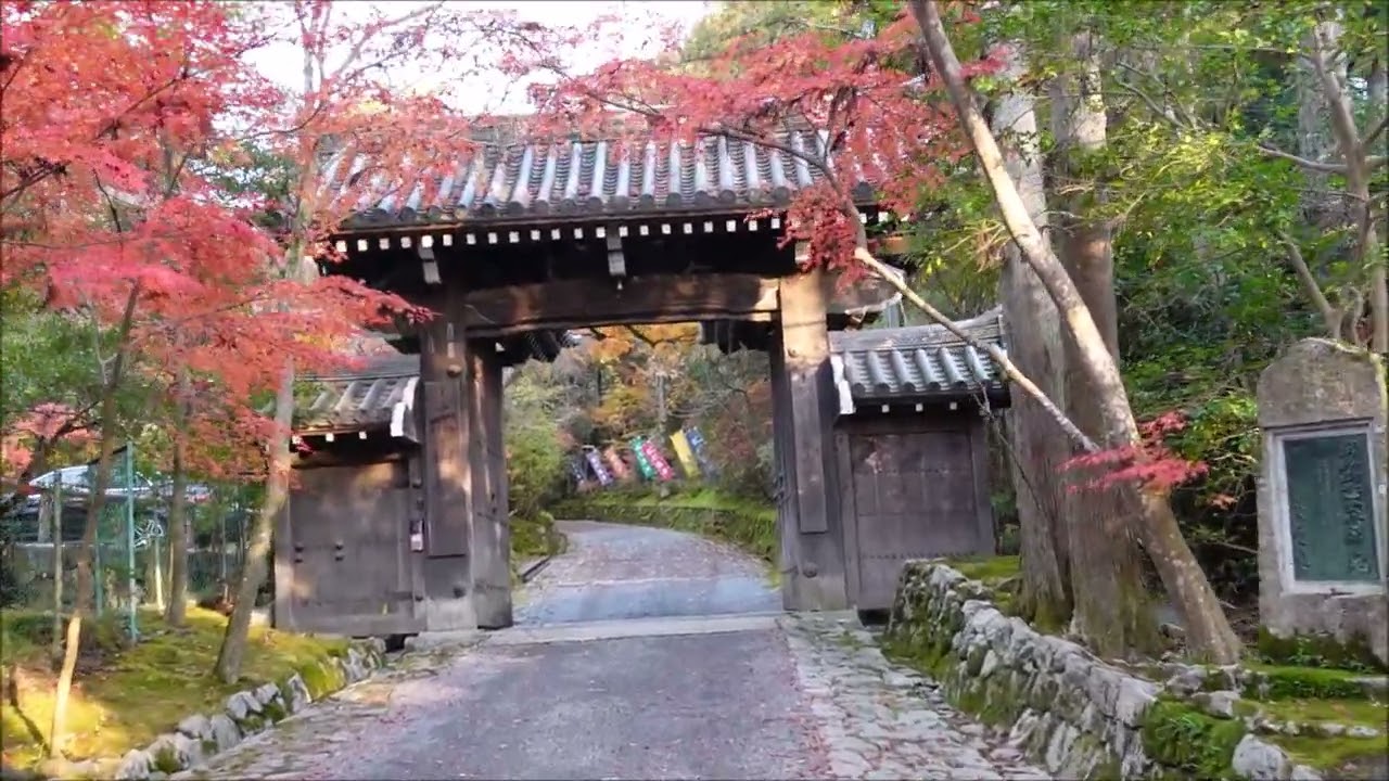 京都洛北の紅葉(そろそろ飽きてきたかも？)