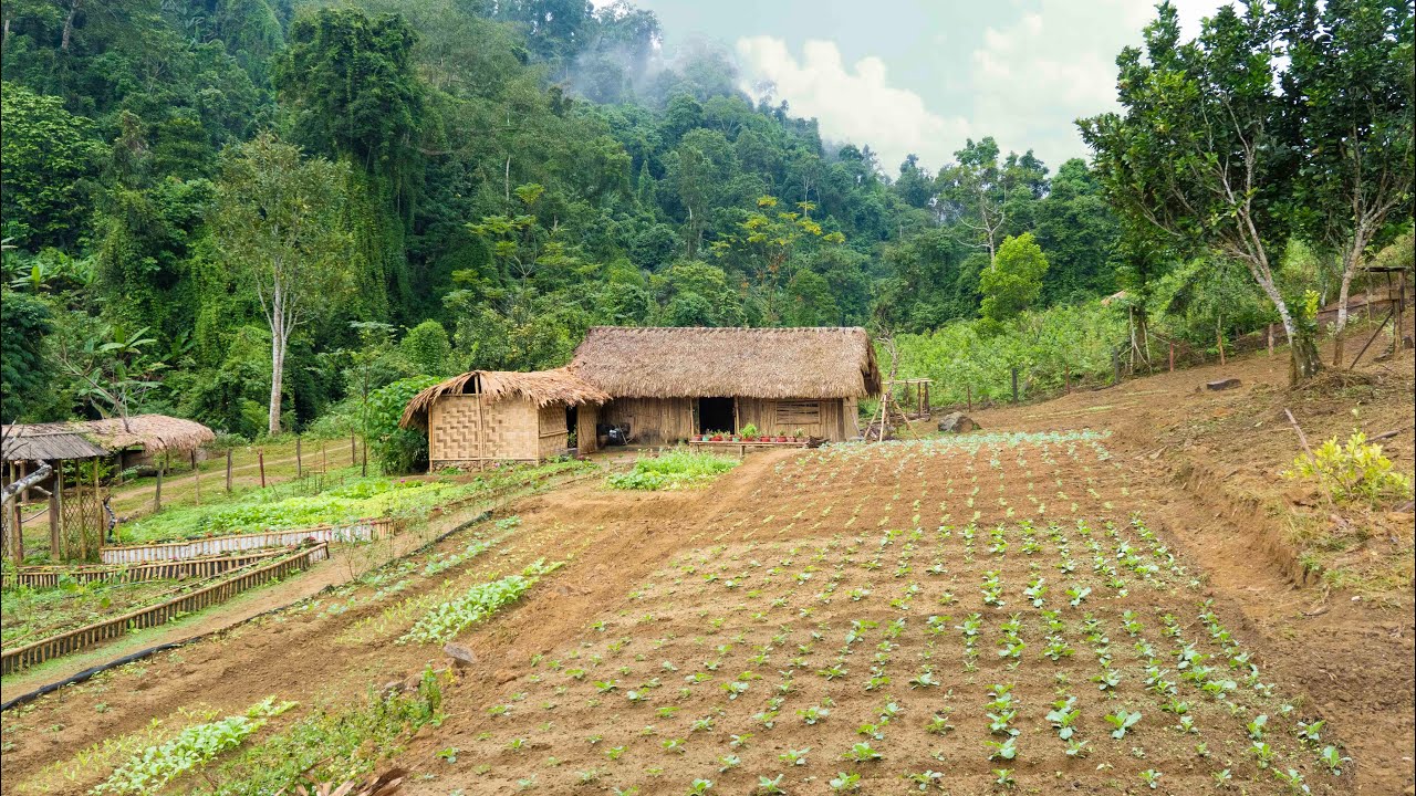 FULL VIDEO/ 60 days: Restore & Build Abandoned Farm (Free) | Growing - Harvesting