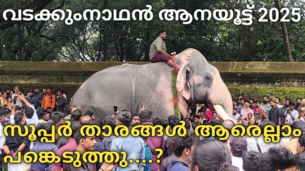 Vadakumnathan Aanayoot 2025