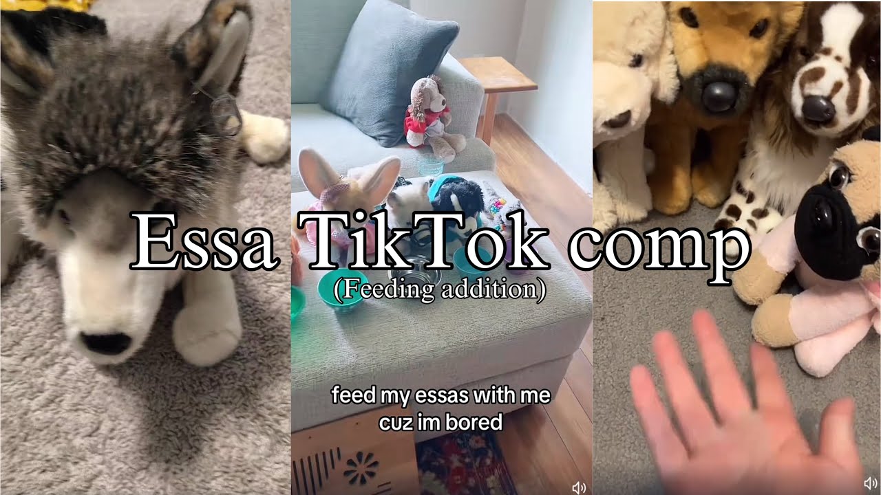 Essa TikTok comp (none are mine) #essa