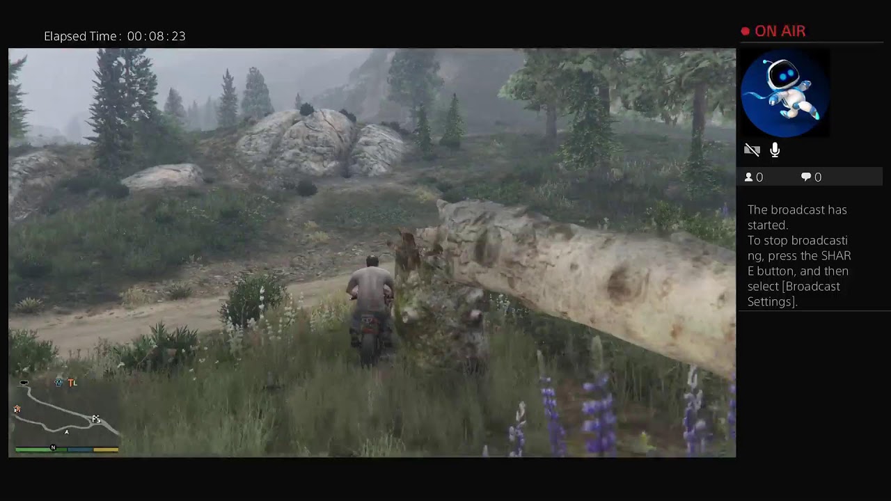 GTA 5 race mode