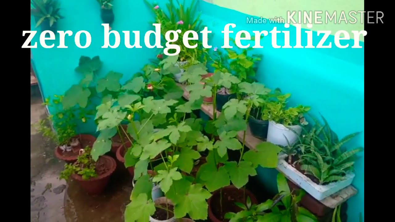 Zero budget fertilizer