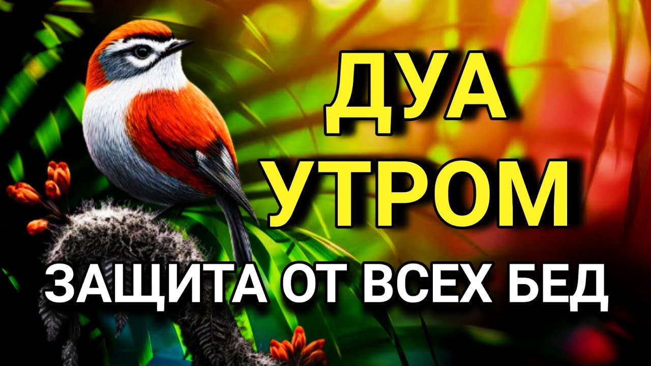💖⚡СИЛЬНЕЙШЕЕ ДУА УТРОМ ОТ ВСЕХ БЕД  🤲🌹✨💯