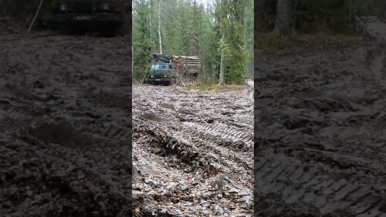 КАМАЗ 4310 вывозим лес 2024г #kamaz4310 #offroad #automobile