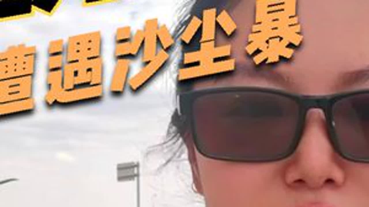 看恐龙遭遇沙尘暴，心疼钱白花了 #极端天气 #沙尘暴来了