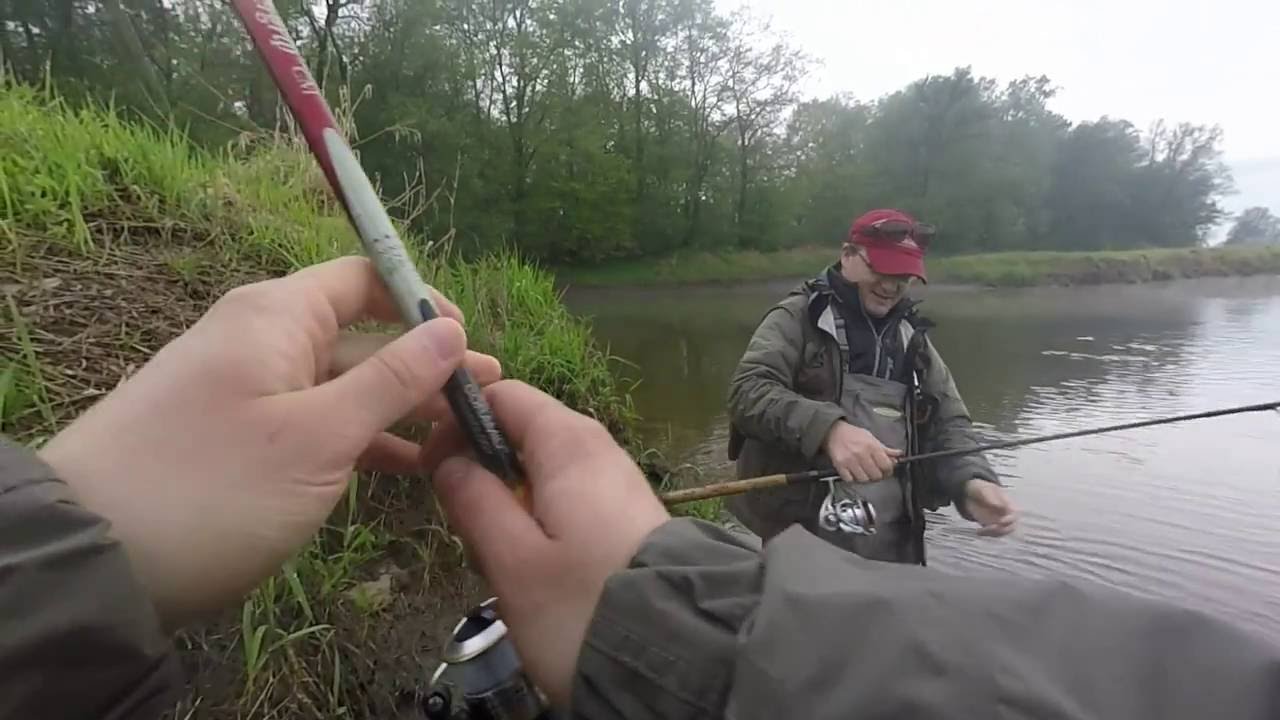 Bolenie na otwarcie sezonu. Rzeka Odra. | #42.