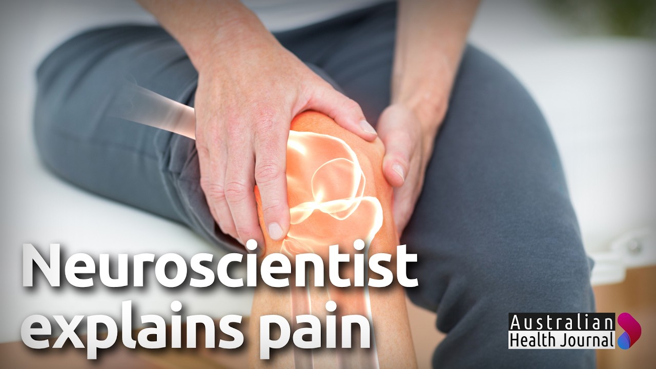 Clinical pain neuroscientist talks about how the brain processes pain information