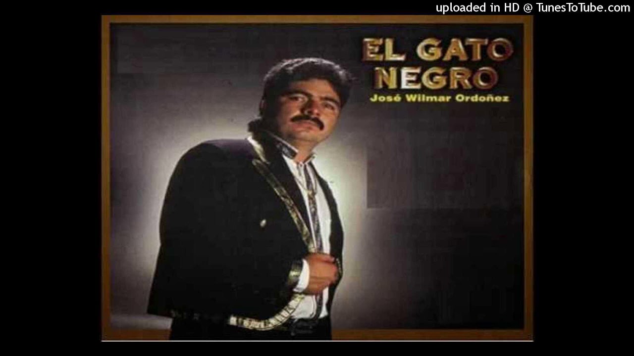 El Gato Negro - Sirvan Despacio
