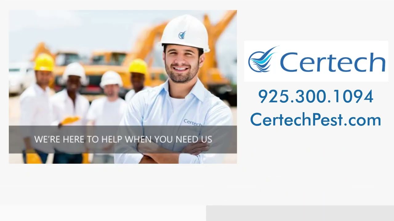 PEST PREVENTION & TERMITE PROTECTION in Contra Costa County