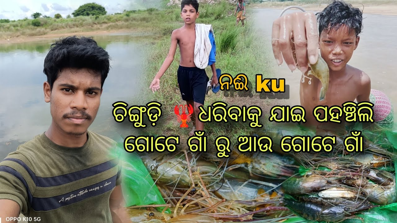 ନଈ ku ଚିଙ୍ଗୁଡ଼ି🦞 ଧରିବାକୁ ଯାଇ ପହଞ୍ଚିଲି gote ଗାଁ ରୁ ଆଉ gote ଗାଁ 😅 #patuodiavlog #vlog #odiavlog 