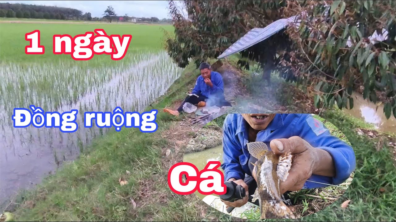1 ngày sống giữa đồng ruộng – Trải nghiệm sinh tồn của MinhGo ( phần 1)