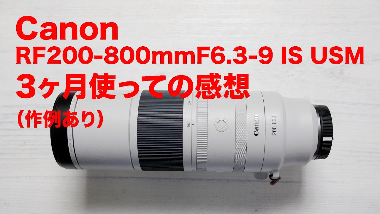 Canon RF200-800mmF6.3-9 IS USMを3ヶ月使用しての感想（作例あり）
