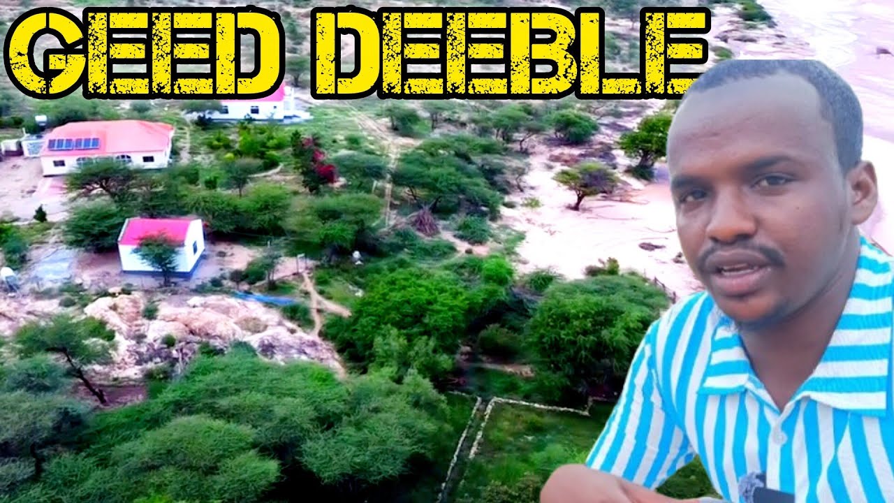  GEED DEEBLE | Beerta Dalxiska Ugu Fican Somaliland 