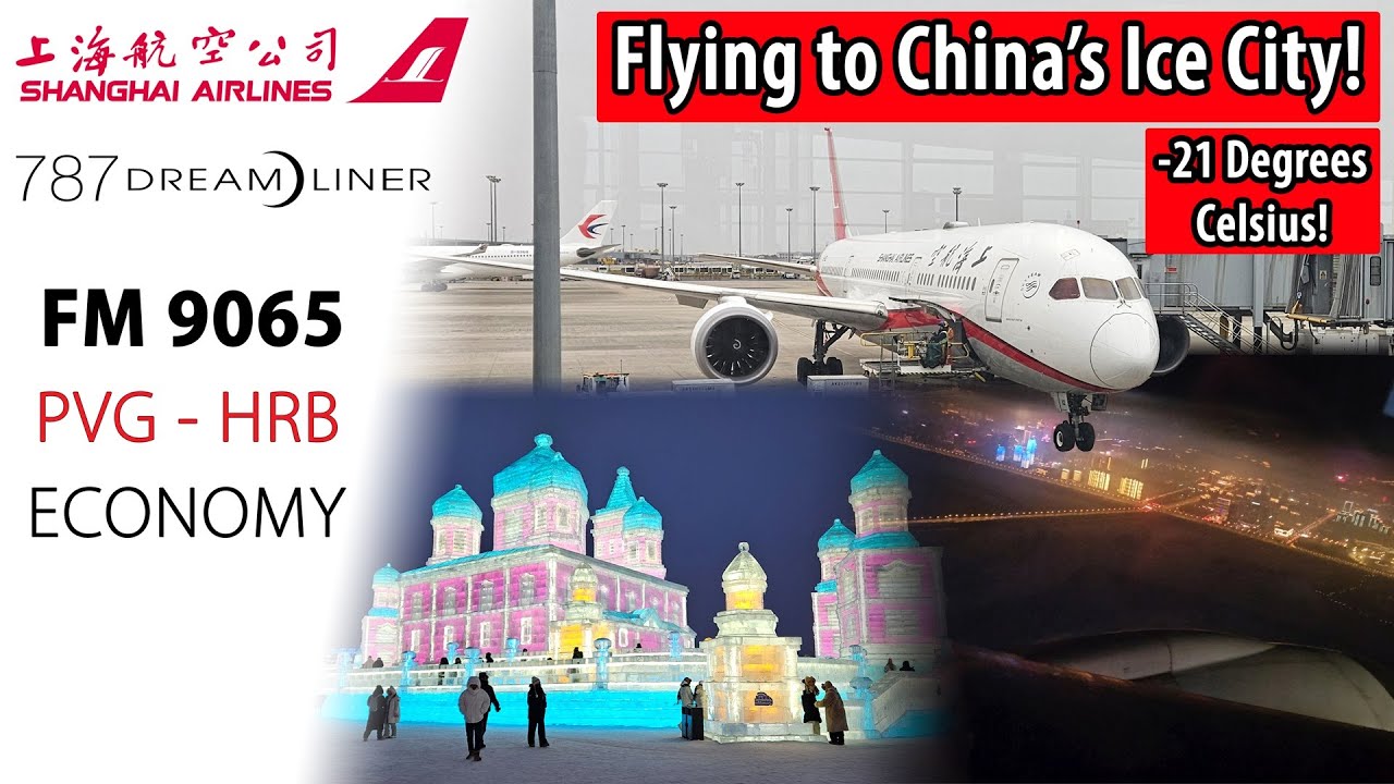 FIRST TIME Flying on the Shanghai Airlines Boeing 787-9! | 🇨🇳 Shanghai to 🇨🇳 Harbin
