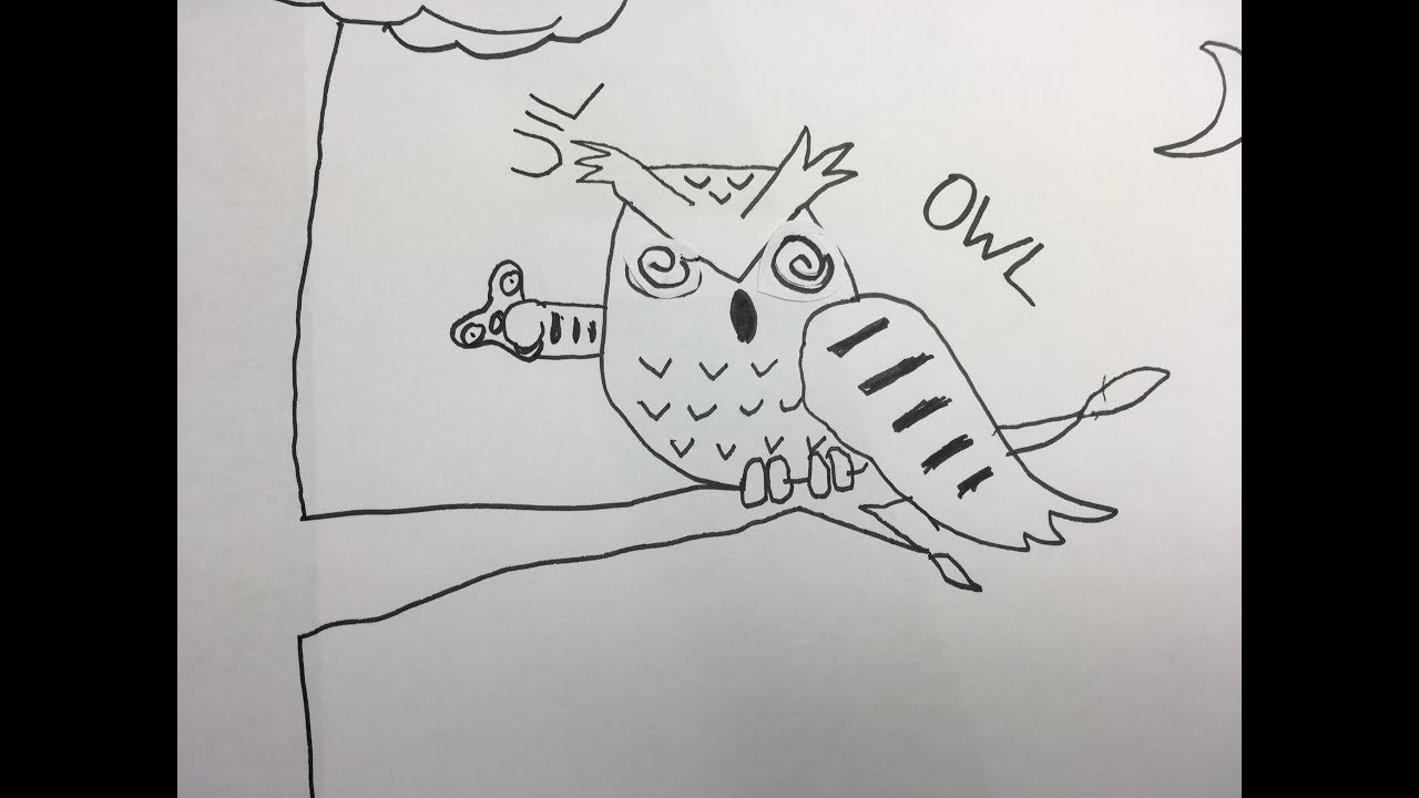 Hoe teken je/how do you draw: een uil/an owl