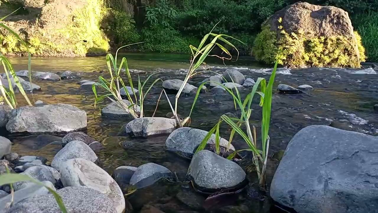 Midnight Flow Therapy – Restore Your Mind & Soul