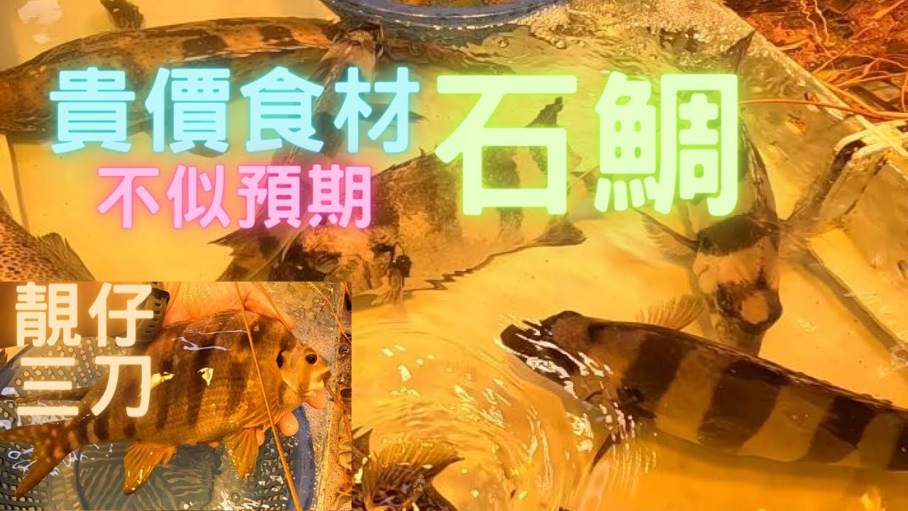 居然一次那麼多高價食材：斑石鯛😱又有肥仔三刀😍可惜食落不似預期😅~fishcutting香港海鮮~社長遊街市Seafood