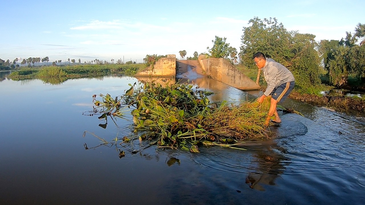Remove Floating Plants Clogged On Dam Drain