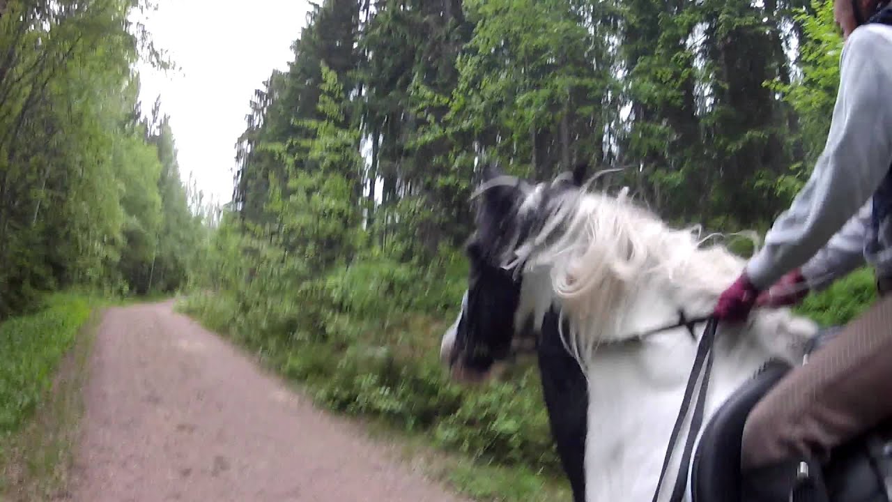 Horse riding in terrain and jumping on Irish Cob Ian - GoPro HD Hero2