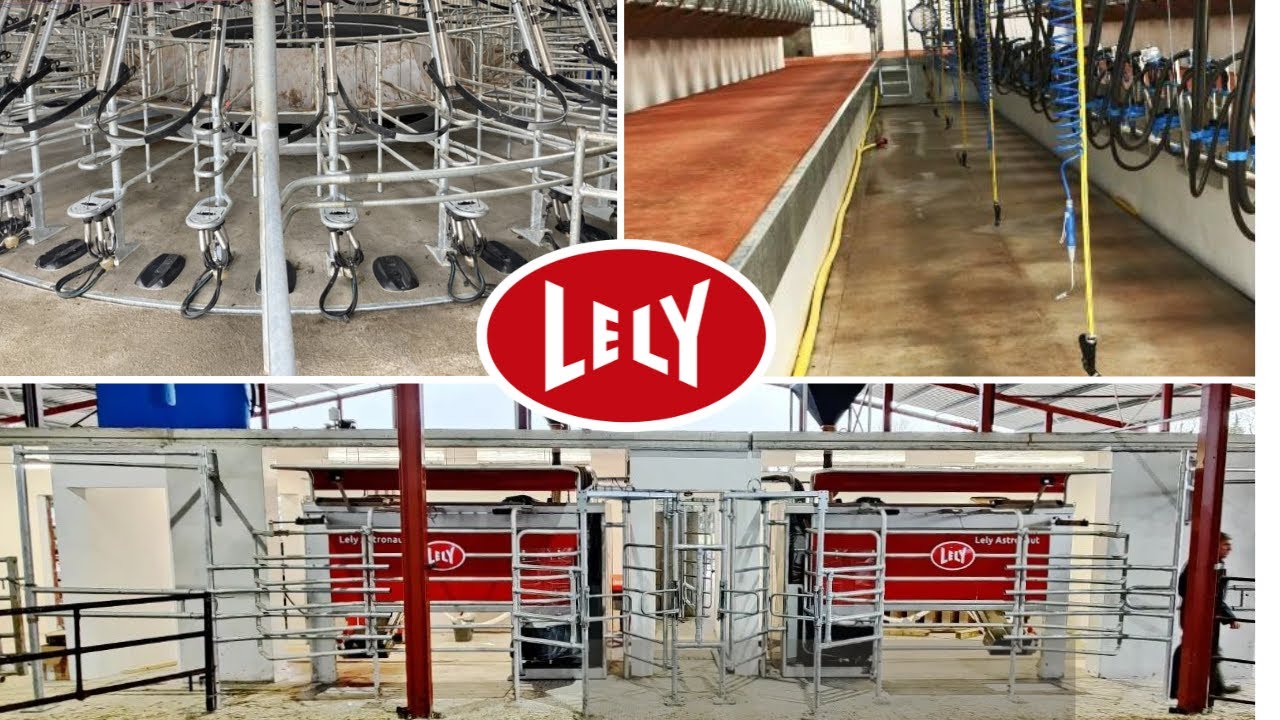 Milking Large Herds: Cost Comparison of Robots, Parlours & Rotaries