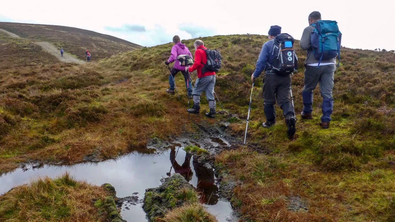 Ayr & District Rambling Club, Brown Hill to Bain Hill Mennock Nov 9th 2014