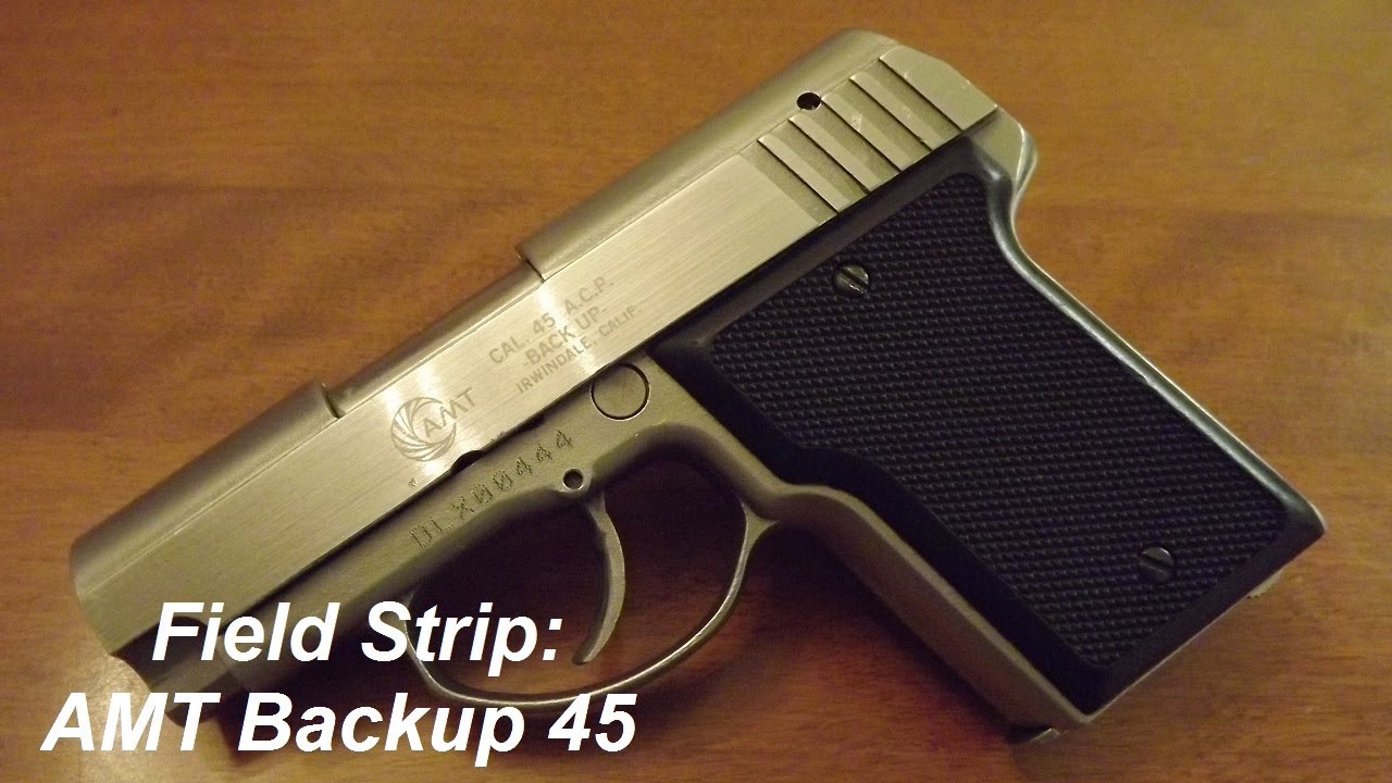 Field Strip: AMT Backup 45