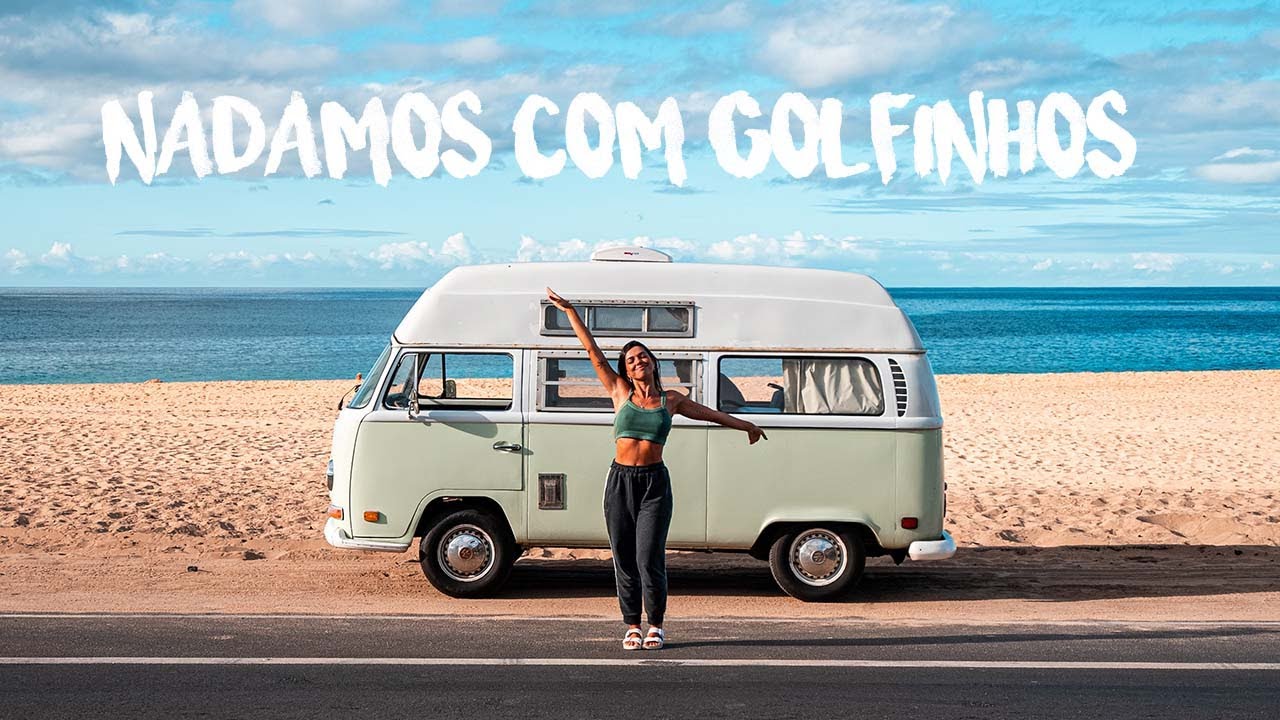 TOUR PELA KOMBI NOVA E MERGULHO COM GOLFINHOS NO HAVAÍ
